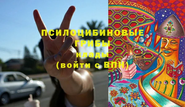 spice Алексин