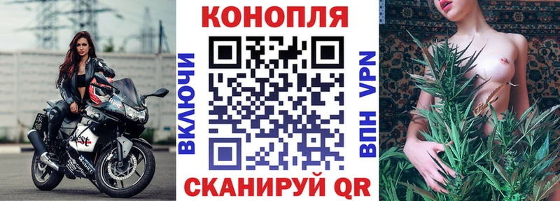 купить наркотик  Лермонтов  Бошки Шишки план 